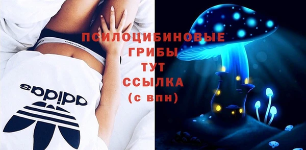 дурь Алексин