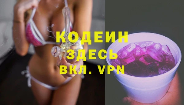 дурь Алексин