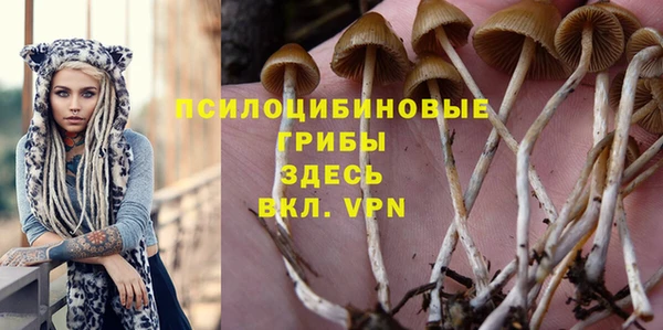 прущие крисы Алзамай