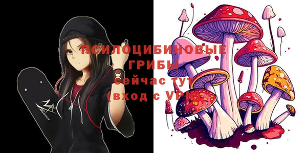 дурь Алексин