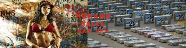 прущие крисы Алзамай
