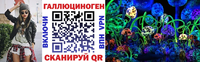 Галлюциногенные грибы GOLDEN TEACHER  где можно купить наркотик  Большой Камень 