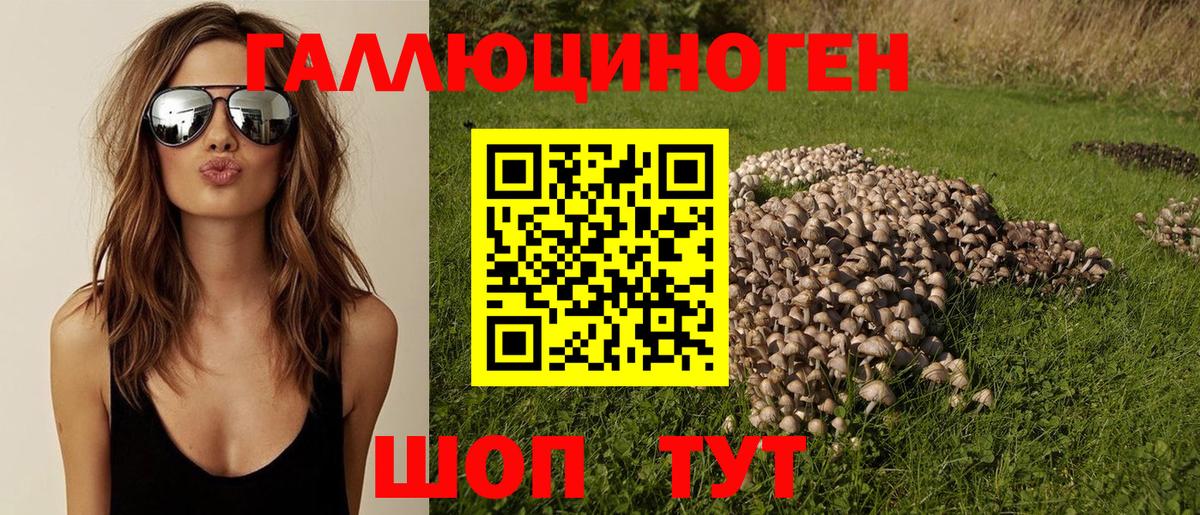 Большой Камень  Псилоцибиновые грибы GOLDEN TEACHER  Псилоцибиновые грибы GOLDEN TEACHER  Вход с VPN 