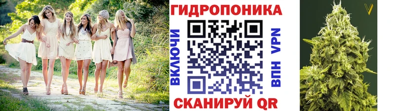 Конопля семена Большой Камень